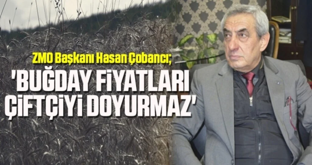 'Buğday fiyatları çiftçiyi doyurmaz'