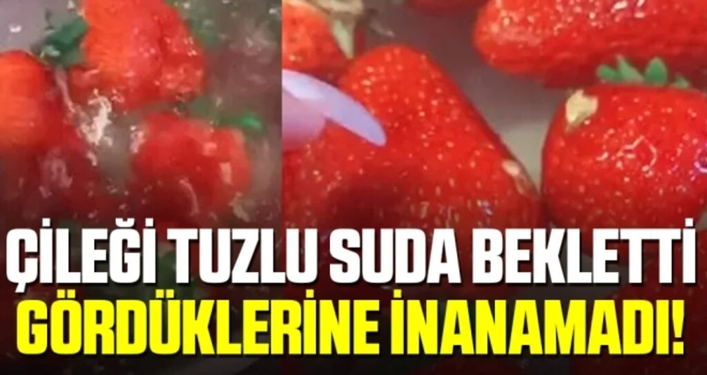 Çileği tuzlu suda bekletti, gördüklerine inanamadı