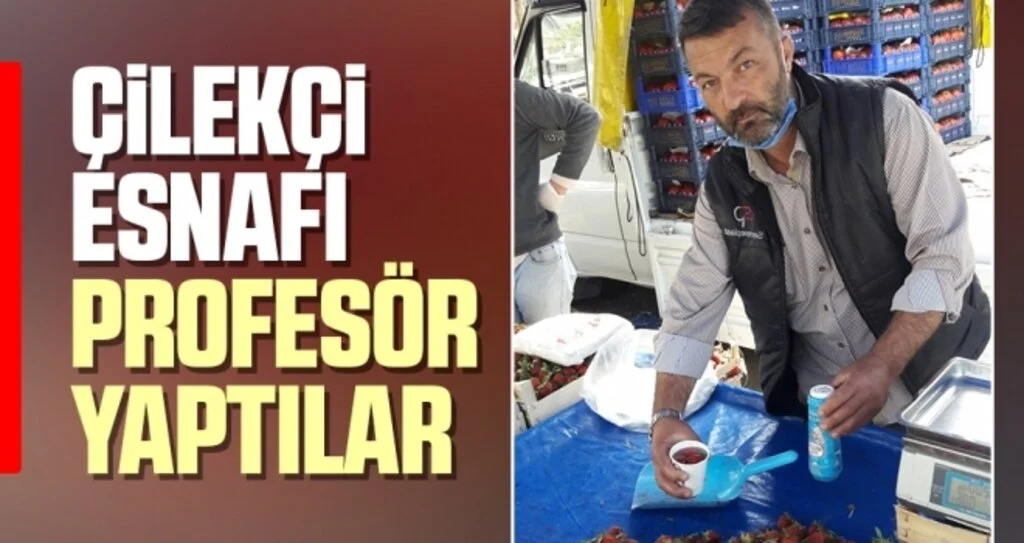 Çilekçi Esnafı Profesör Yaptılar