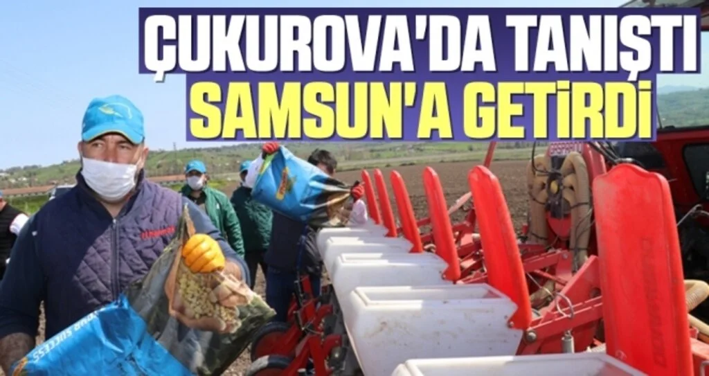 Çukurova'da Tanıştı Samsun'a Getirdi