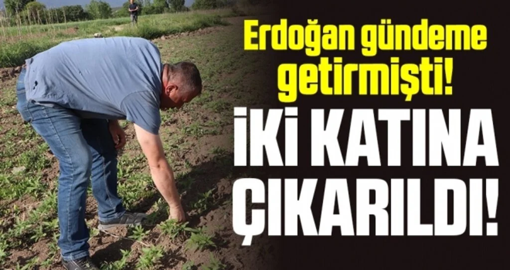 Cumhurbaşkanı Erdoğan Gündeme Getirmişti, İki Katına Çıktı
