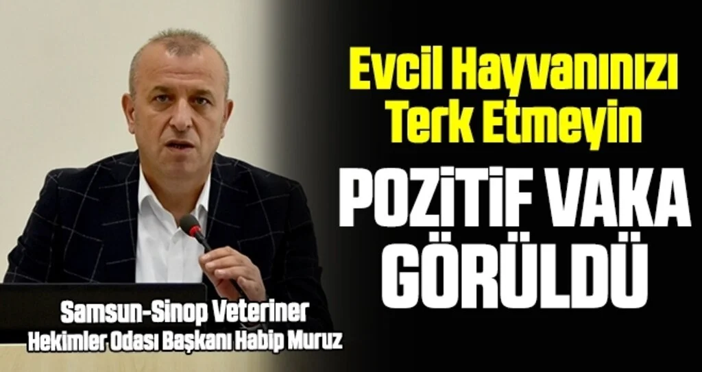 Evcil Hayvanınızı Terk Etmeyin