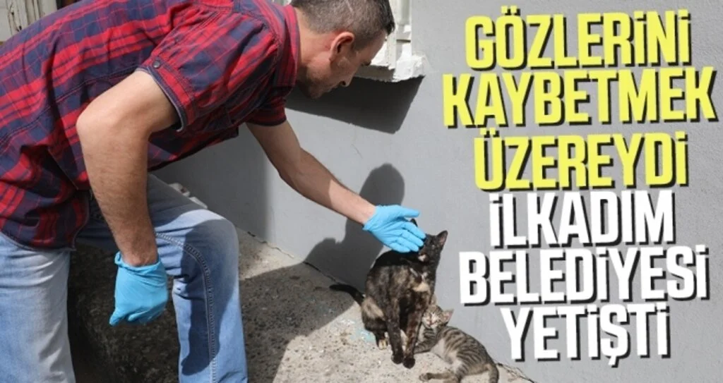 Gözlerini kaybetmek üzereydi, İlkadım Belediyesi yetişti