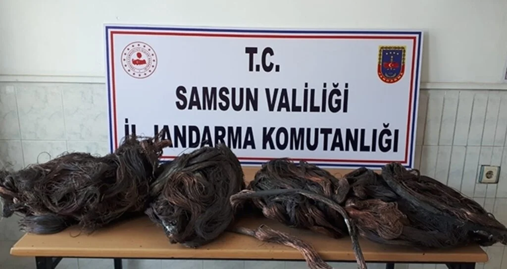Jandarma Ekipleri Hırsızları Enseledi