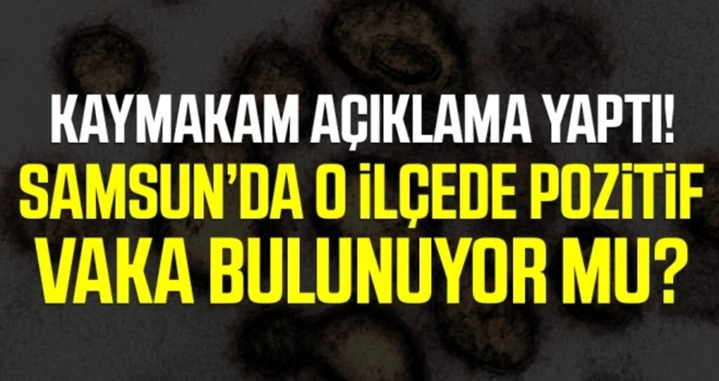 Kaymakam Şenay Açıklama Yaptı! Kavak'ta Pozitif Vaka Bulunuyor Mu?