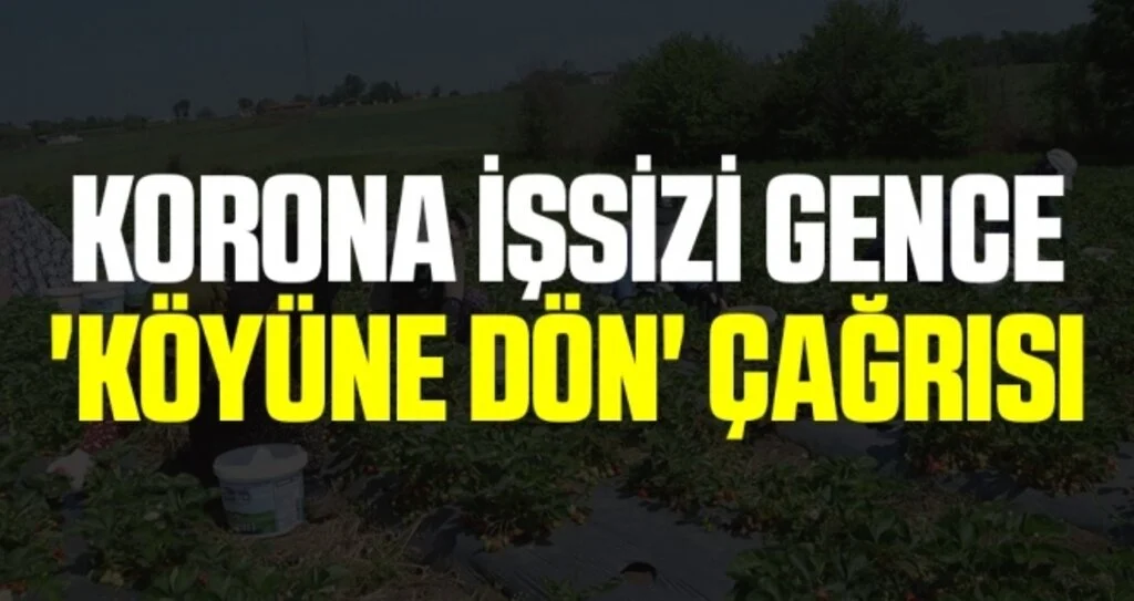 Korona işsizi gence 'köyüne dön' çağrısı