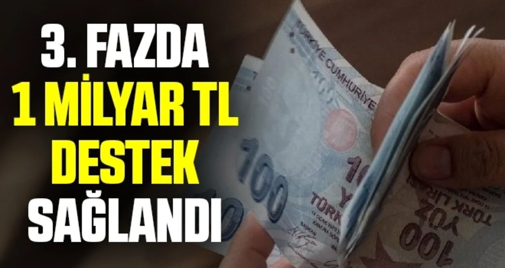 Pandemi sosyal destek sonuçları sorgulama! 1000 TL sosyal yardım ödemelerinde son durum