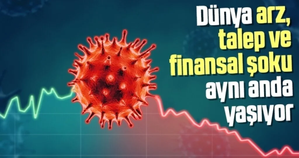 Prof. Dr. Kaynak: Covid-19 pandemisi ile dünya arz, talep ve finansal şoku aynı anda yaşıyor