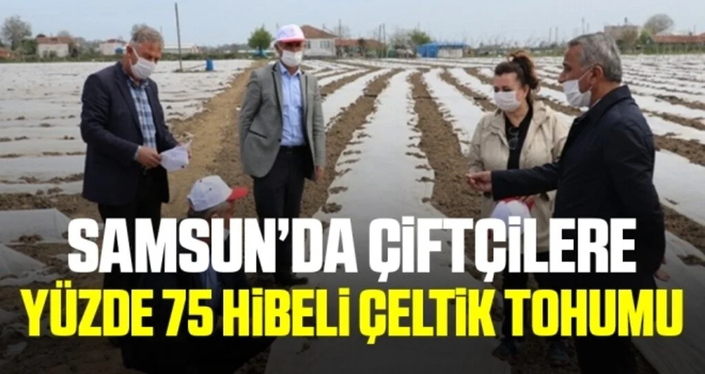 Samsun'da Çiftçiye Yüzde 75 Hibeli Çeltik Tohumu