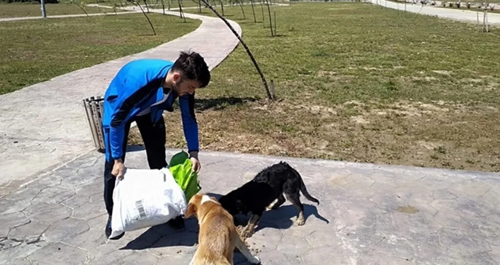 Samsun'da gençler vakitlerini sokak hayvanlarına ayırıyor
