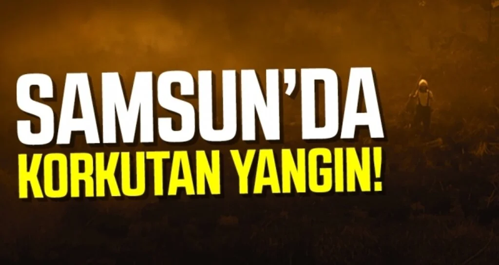 Samsun'da Korkutan Yangın!