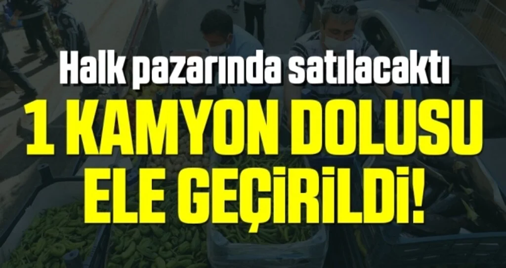 Samsun'da Muhtarın Şikayeti Zabıtayı Şok Etti