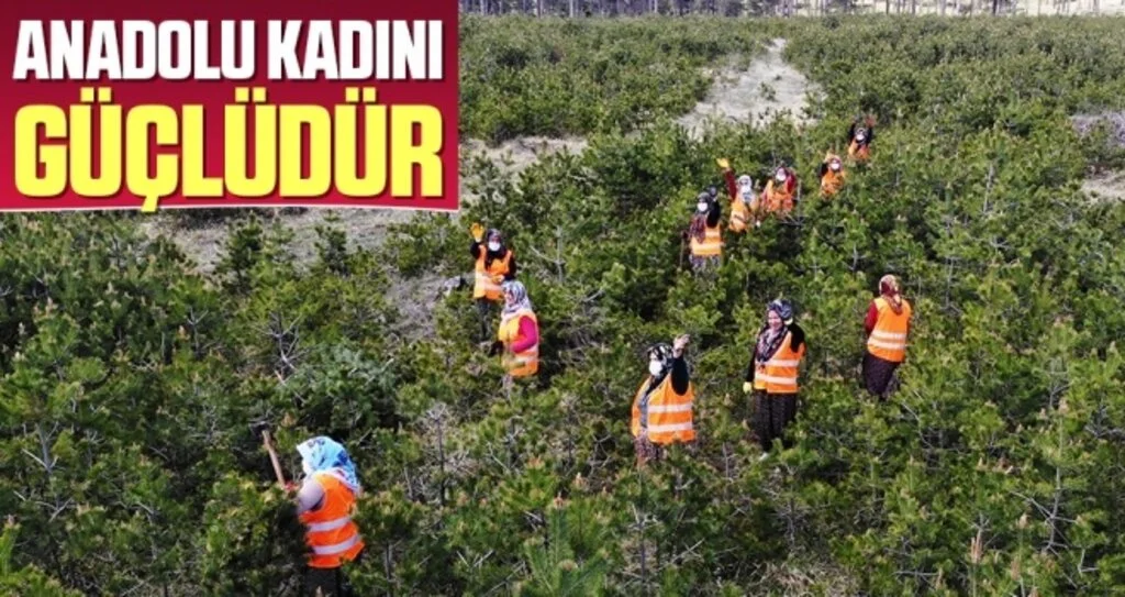 Samsun'da Ormancı Kadınlar