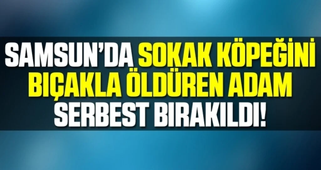 Samsun'da Sokak Köpeğini Bıçakla Öldüren Adam Serbest Bırakıldı!