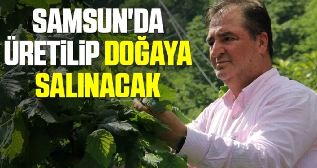 Samsun'da üretilip doğaya salınacak