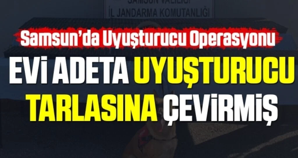 Samsun'da Uyuşturucu Baskını! Evi Adeta Uyuşturucu Tarlasına Çevirmiş