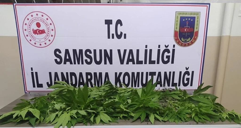 Samsun'daki uyuşturucu operasyonlarında gözaltına alınanlardan 2'si tutuklandı