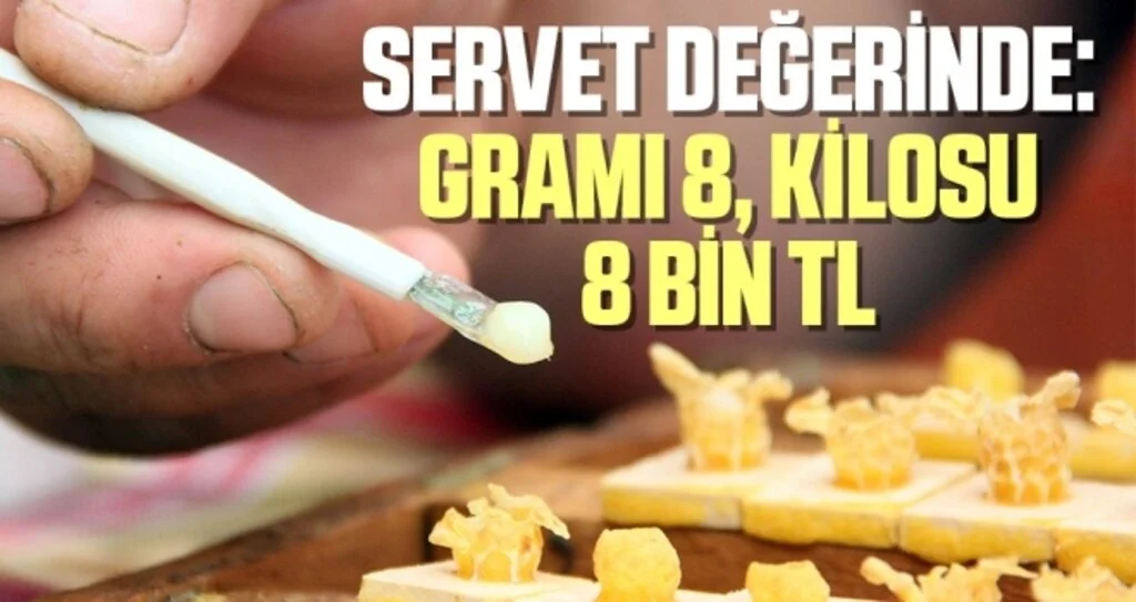 Servet değerinde: Gramı 8, kilosu 8 bin TL