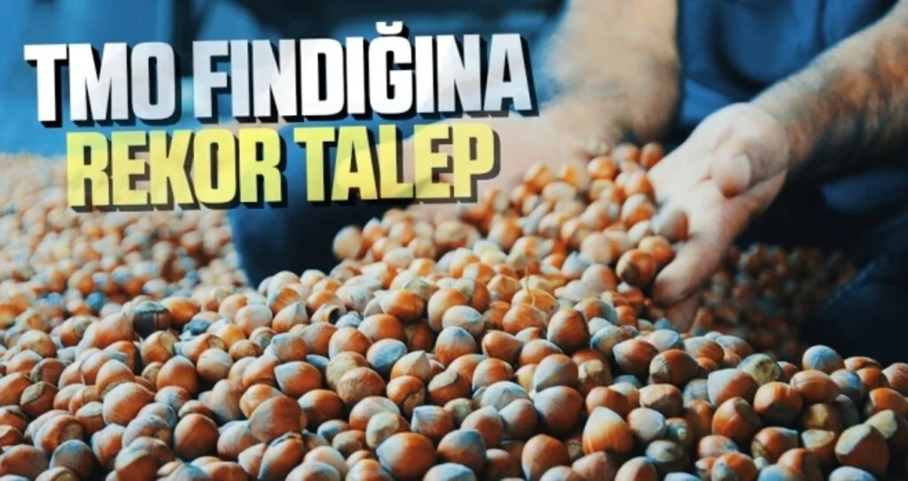 TMO Fındığına Rekor Talep