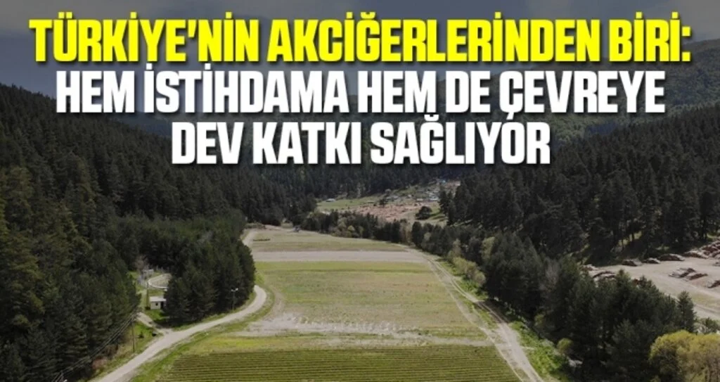 Türkiye'nin akciğerlerinden biri: Hem istihdama hem de çevreye dev katkı sağlıyor