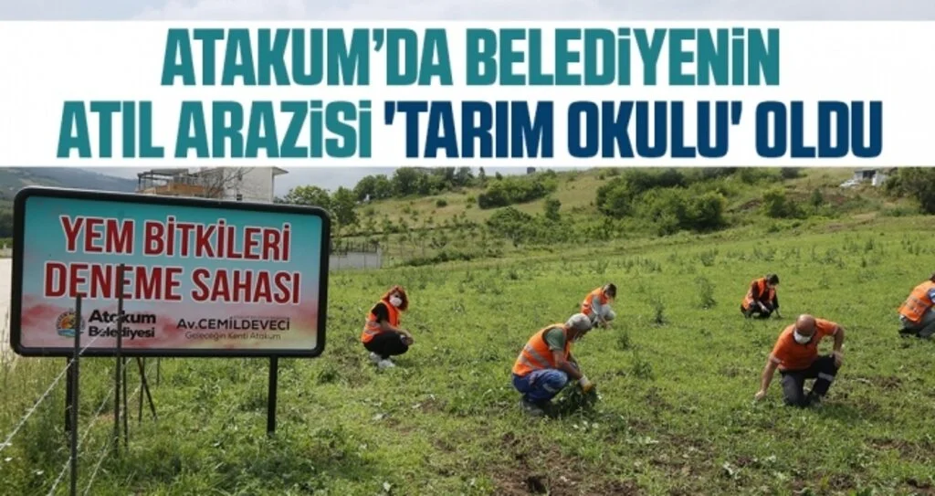 Atakum’da belediyenin atıl arazisi 'tarım okulu' oldu