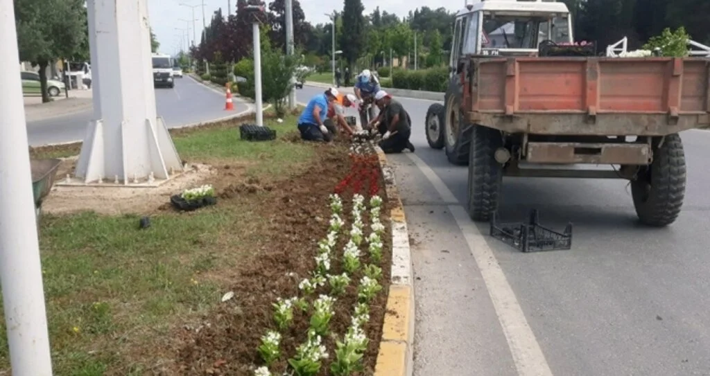 Bafra Çiçeklerle Güzelleşti