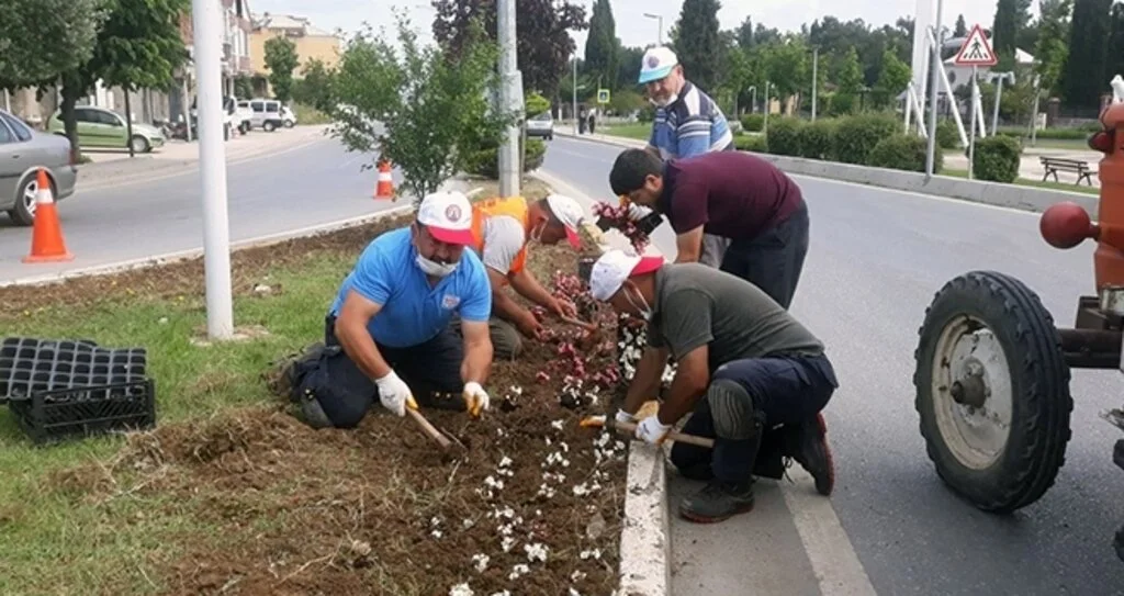 Bafra dört mevsim çiçek bahçesi