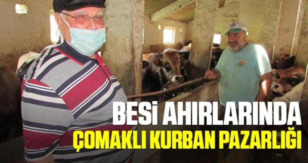 Besi Ahırlarında Kurban Pazarlığı