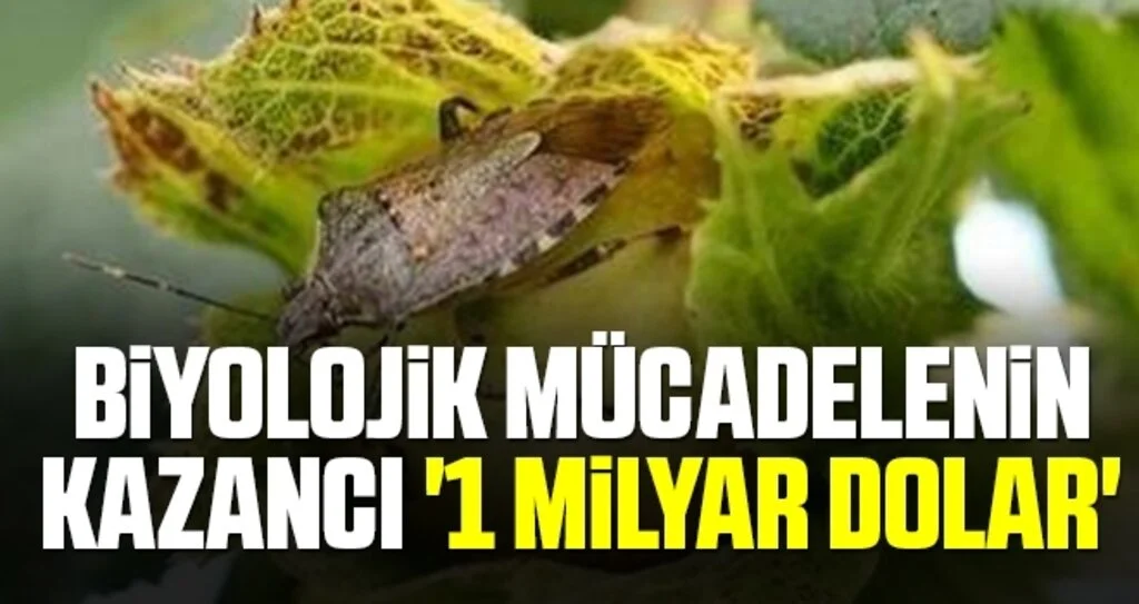 Biyolojik mücadelenin kazancı '1 milyar dolar'
