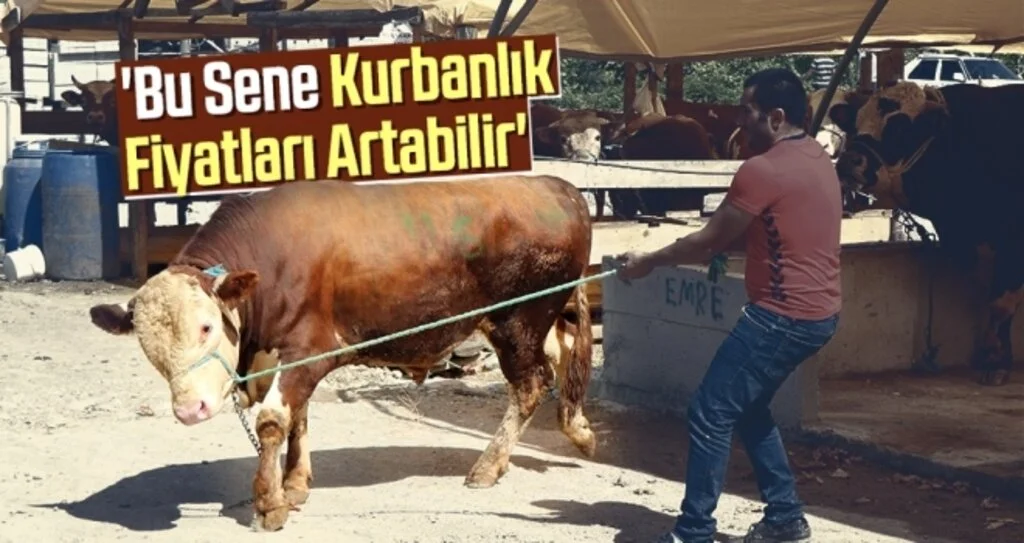 'Bu Sene Kurbanlık Fiyatları Artabilir'