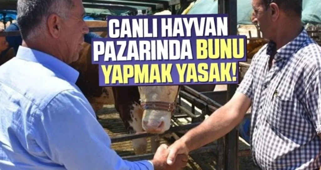 Canlı Hayvan Pazarında Bunu Yapmak Yasak!