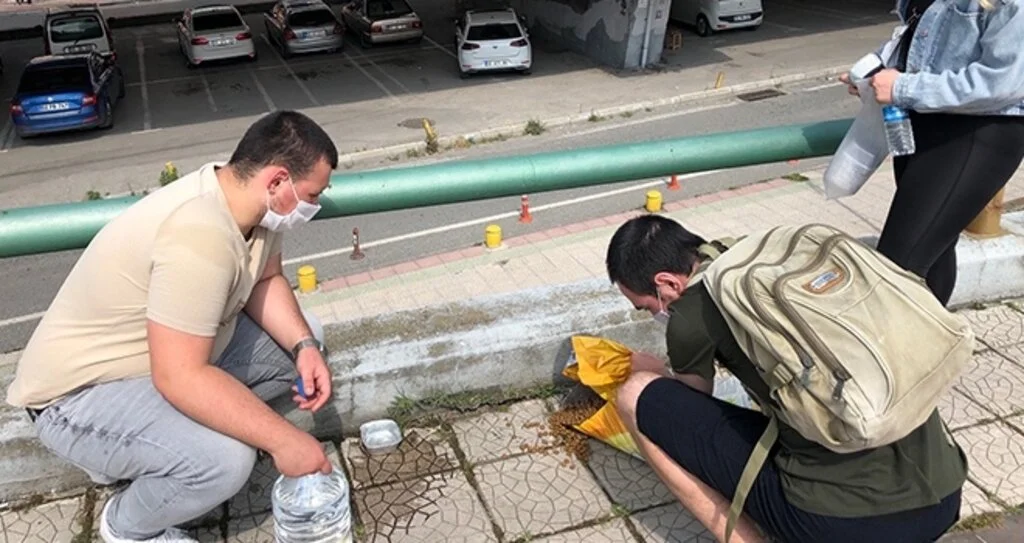 CHP'li gençlerden  anlamlı davranış 
