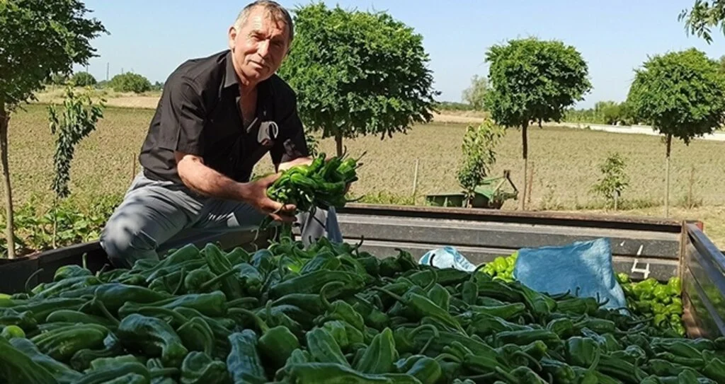 Çiftçi mazot indirimi istiyor