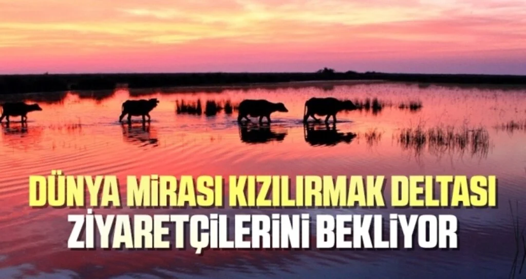 Dünya mirası Kızılırmak Deltası ziyaretçilerini bekliyor