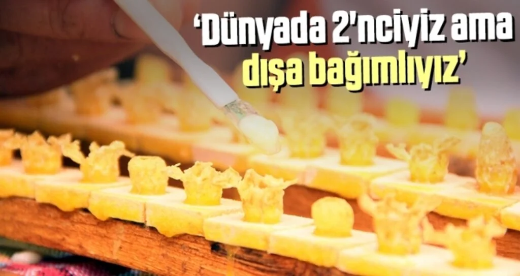 Dünyada 2'nciyiz ama dışa bağımlıyız