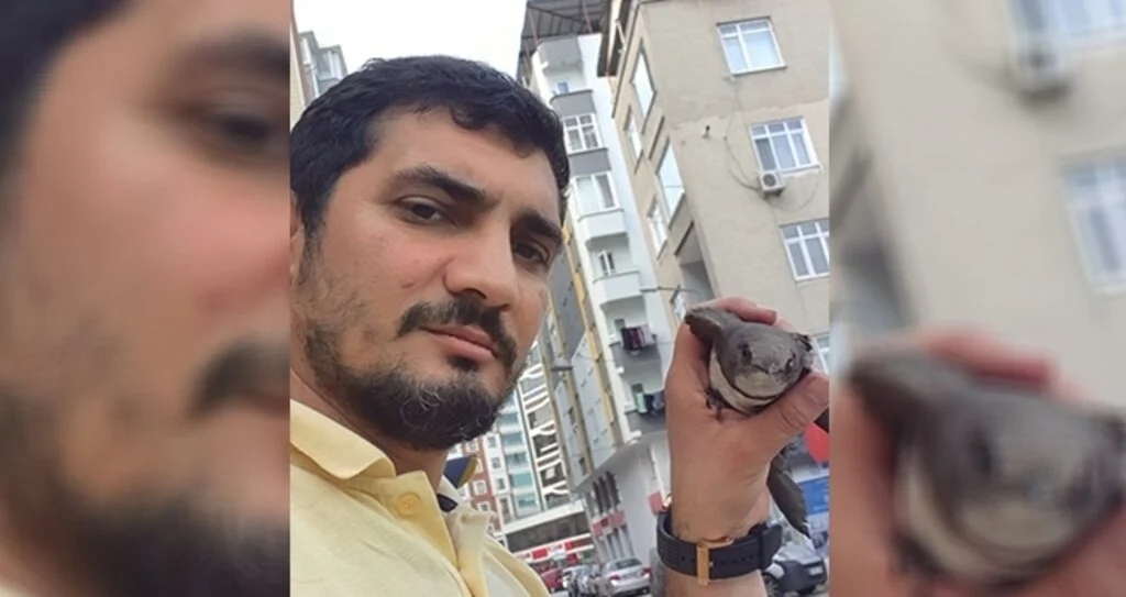 'Ebabil kuşu'na yaşam verdiler