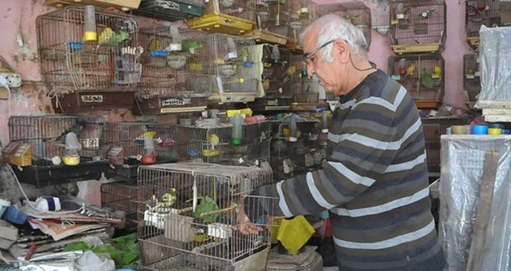 Emekli öğretmenin 'kuş' tutkusu