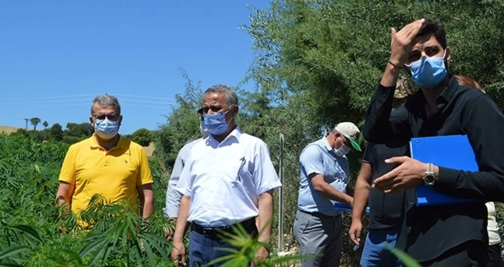 İl Tarım ve Orman Müdürü İbrahim Sağlam: Kenevir Havza içinde umut oldu 