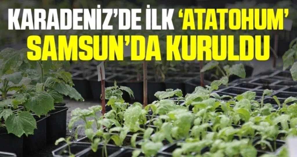 Karadeniz’in ilk tohum merkezi 'AtaTohum' Samsun’da kuruldu