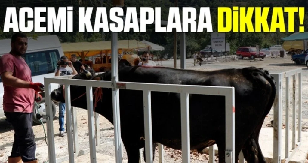 Kasaplar Odası Başkanı Şen: Lokantalar açıldı kasap işleri düştü