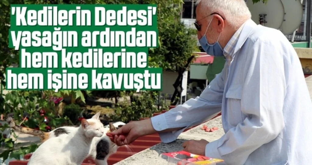 'Kedilerin Dedesi' Yasağın Ardından Hem Kedilerine Hem İşine Kavuştu