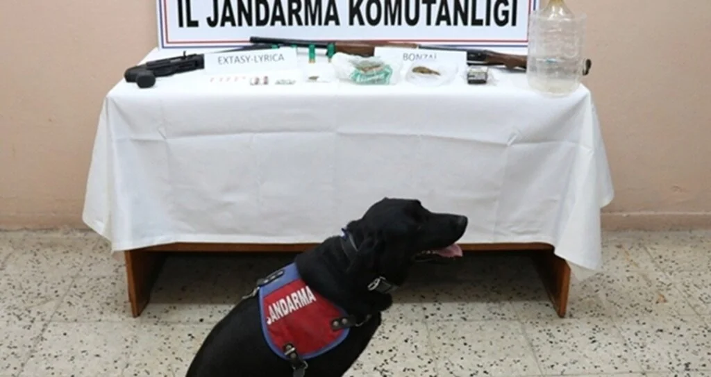 Komşuya sevkiyat jandarmaya takıldı