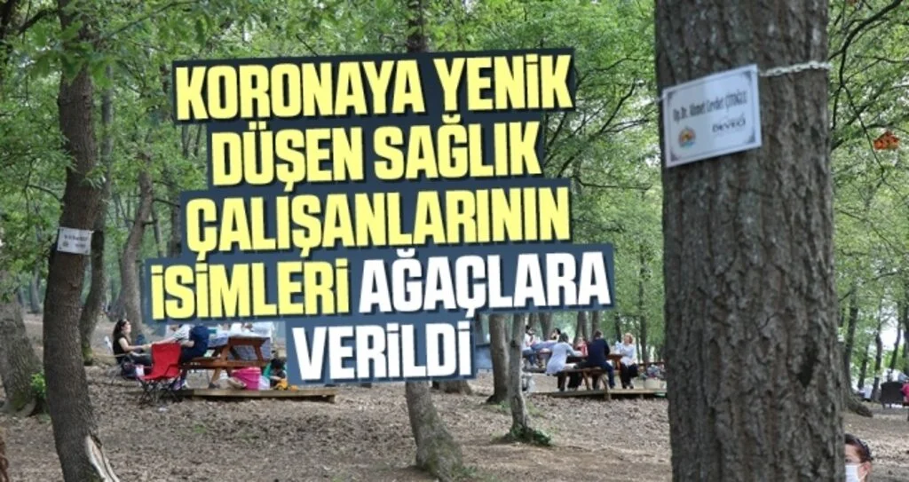 Koronaya yenik düşen sağlık çalışanlarının isimleri ağaçlara verildi