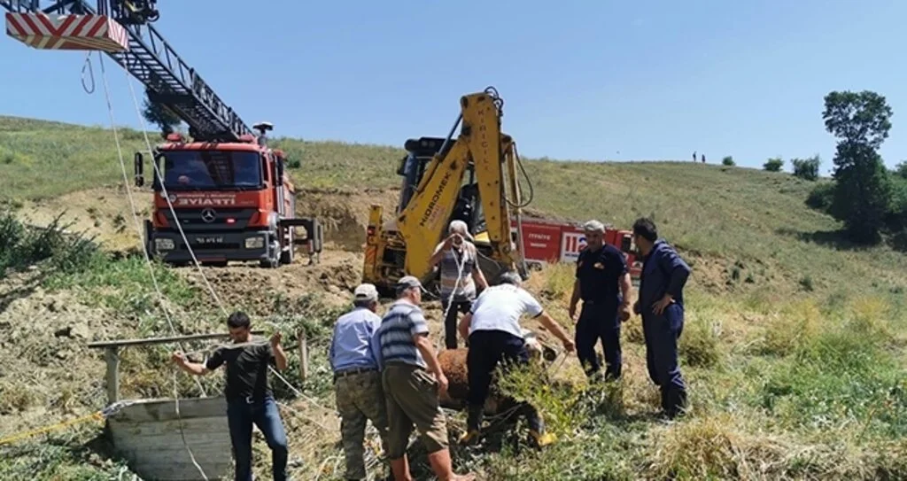 Kuyuya düşen büyükbaş hayvanı itfaiye kurtardı