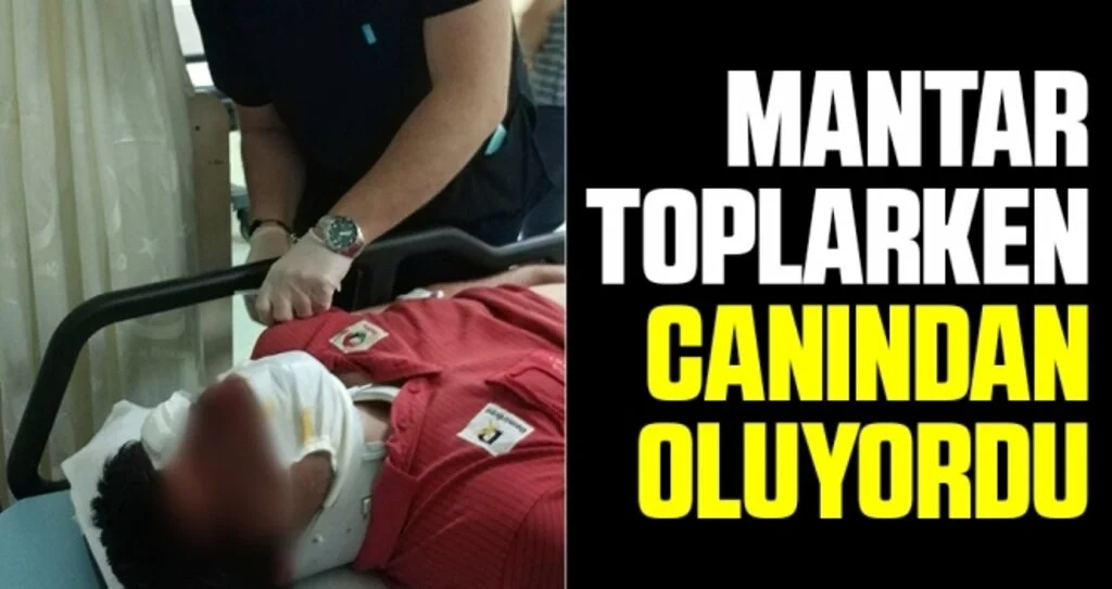 Mantar toplarken uçurumdan yuvarlandı
