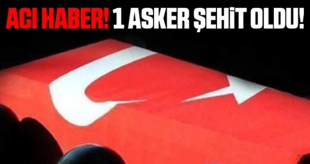 MSB: Pençe-Kaplan Operasyonu bölgesinde 1 asker şehit oldu