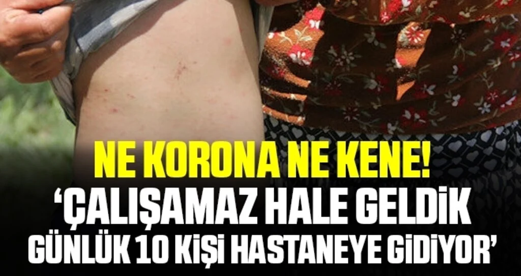 Ne Korona Ne Kene! 'Çalışamaz Hale Geldik Günlük 10 Kişi Hastaneye Gidiyor'