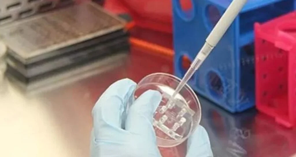 PCR testi ücreti belli oldu! PCR test ücreti ne kadar?