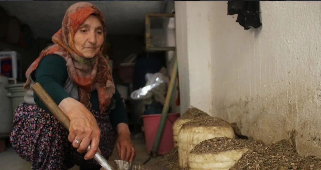 Peynirleri 3-6 ay kuma gömüyorlar, 3 yıl tüketiyorlar