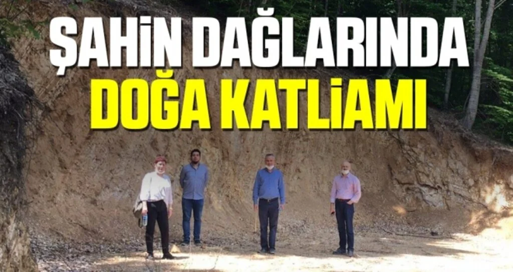 Şahin Dağlarında Doğa Katliamı
